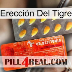 Erección Del Tigre new01